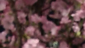 Leonardo y Ángela Aguilar | Frazer Harrison/Getty Images.