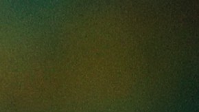 Cecilio Domínguez ha sido un jugador habitual en la Selección de Paraguay.