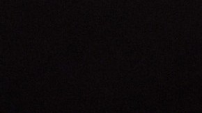 Dana White, presidente de la UFC.