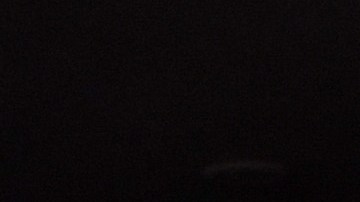 Dana White, presidente de la UFC.