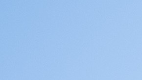 Aborto Texas Mississippi Florida