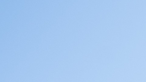 Aborto Texas Mississippi Florida