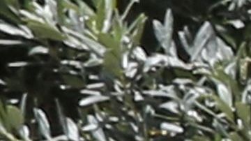 A Syrian man shops for clothes at a flea market in the capital Damascus on May 17, 2020, amid severe economic crisis that has been compounded by a coronavirus lockdown. - Prices have doubled over the past year, while the Syrian pound has reached record lows against the dollar, further driving up inflation. With most of the population living in poverty, Syrians have increasingly turned to flea markets to purchase clothes at a reasonable price. (Photo by LOUAI BESHARA / AFP) (Photo by LOUAI BESHARA/AFP via Getty Images)