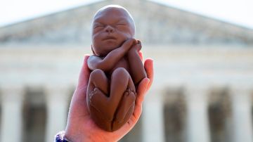 La policía encuentra cinco fetos en la casa de un manifestante contra el aborto en Washington DC