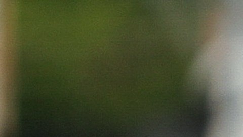 Lionel Messi regresará con la selección Argentina.