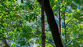 Sismo en Veracruz activa la alerta sísmica en la Ciudad de México y activa los protocolos de emergencia