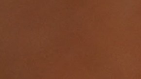 A healthcare worker displays a Covid-19 Vaccination Record Card during a vaccine and health clinic at QueensCare Health Center in a predominately Latino neighborhood in Los Angeles, California, August 11, 2021. - All teachers in California will have to be vaccinated against Covid-19 or submit to weekly virus tests, Governor Gavin Newsom announced on August 11, as authorities grapple with exploding infection rates. The number of people testing positive for the disease has surged in recent weeks, with the highly infectious Delta variant blamed for the bulk of new cases. (Photo by Robyn Beck / AFP) (Photo by ROBYN BECK/AFP via Getty Images)