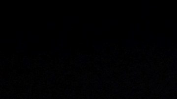 Profesora muere de rabia tras ser mordida por un murciélago en el aula