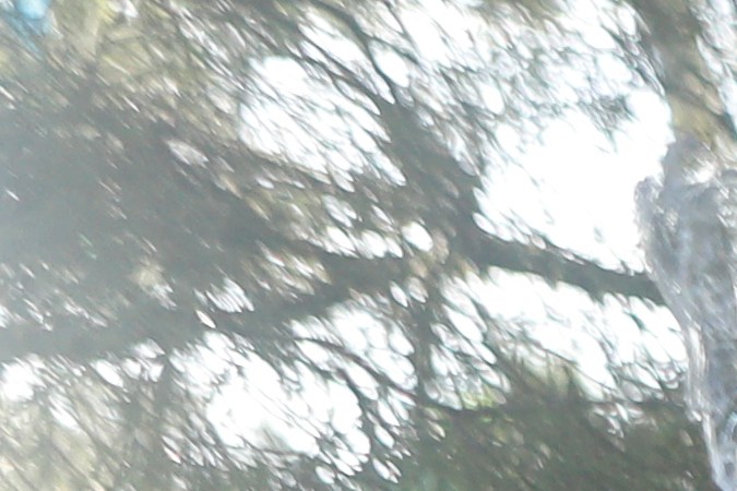 Gabby Petito Brian Laundrie demanda asesinato