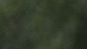 México acumula más de 73,000 migrantes “rescatados” en lo que va del 2022