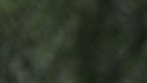 México acumula más de 73,000 migrantes “rescatados” en lo que va del 2022