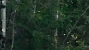 Santa Fe Nuevo Mexico