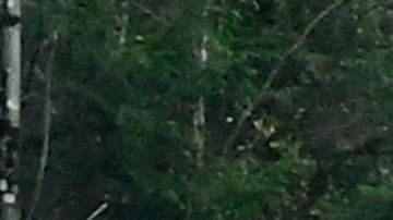 Santa Fe Nuevo Mexico