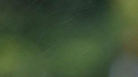 Venezuela desmantela campamento con "material de guerra"