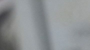 El apoyo mensual para las familias de bajos ingresos será de $500 dólares durante un año.