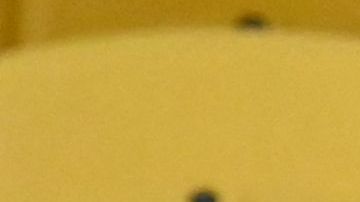 El equipo perdió a uno de sus entrenadores de categorías inferiores.