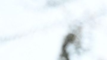 Sitio de pruebas y vacunas COVID en Los Ángeles