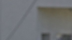 Los jugadores argentinos concentrados para sus últimos compromisos en las Eliminatorias.
