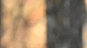 Conflicto Rusia Ucrania Chernóbil Radiación nuclear