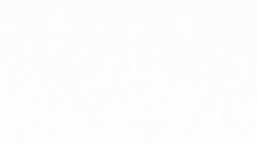 VIDEO: Tráiler se vuelca sobre patrulla en Carolina del Sur y policía sobrevive de milagro