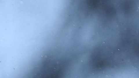 Quién era Pasha Lee, el actor ucraniano que murió durante un bombardeo ruso en Ucrania