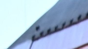 Conflicto Rusia Ucrania evacuación