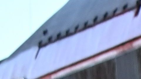 Refugiados de Ucrania llegan a Hungría