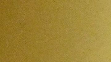 Zelensky pidió al Congreso más ayuda para Ucrania