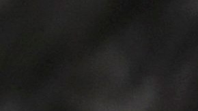 VIDEO: Captan a vagabundo devorando un gato en calles de la ciudad de México