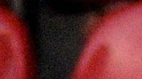 Las barras de Gallos Blancos de Querétaro y Atlas se enfrentaron en el Estadio La Corregidora.