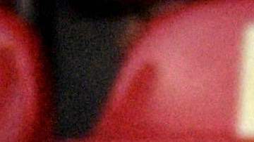 Las barras de Gallos Blancos de Querétaro y Atlas se enfrentaron en el Estadio La Corregidora.