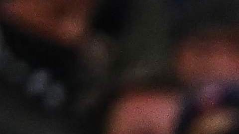 Juventus acogerá a 80 personas que sufrieron por la guerra en Ucrania.