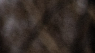 Conflicto Rusia Ucrania Evacuación Sumy