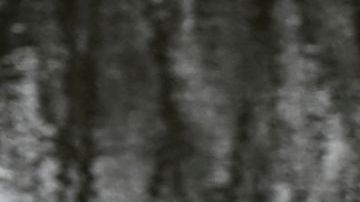 Conflicto Rusia Ucrania ACNUR