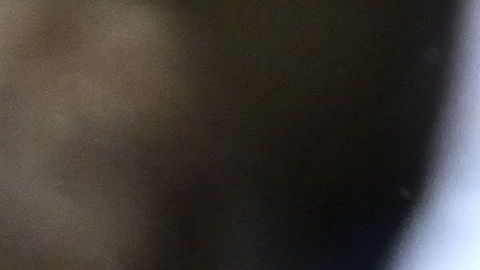 Neymar ha tenido un nivel de juego muy bajo con el PSG esta temporada.
