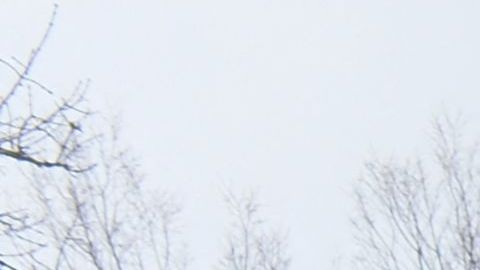 Armamento ruso destruido en Ucrania