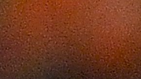 La selección panameña necesita ganar sus dos últimos partidos para meterse en el mundial de Qatar 2022.