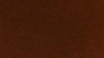 Samuel L. Jackson (izq.) y Danny Glover con sus Oscars honoríficos en los 12º Governors Awards.