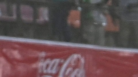 Cientos de aficionados nigerianos invadieron el campo y ocasionaron destrozos.