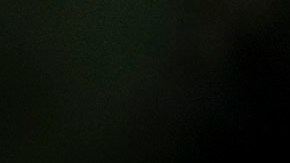 Donal Trump Cámara de Representantes Capitolio Elecciones 2020