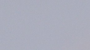 Cocodrilo captado durante un torneo de golf.