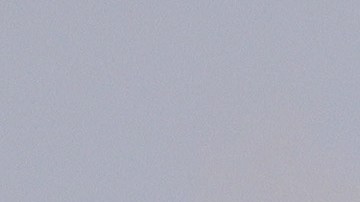 Cocodrilo captado durante un torneo de golf.