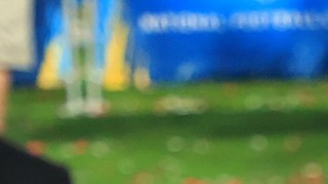 Tom Brady estará de vuelta a la NFL.