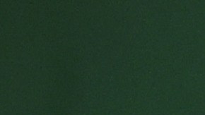 El boxeador mexicano Saúl 'Canelo' Álvarez entrena en su gimnasio en San Diego, bajo la mirada atenta de Eddy Reynoso