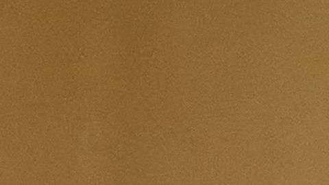 Mario Vargas Llosa ha sido profesor en varias universidades, entre ellas, la Universidad de Londres, la Universidad de Washington y la Universidad de Puerto Rico.