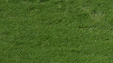 La Selección Nacional de Rusia no podrá jugar el repechaje para clasificar a Qatar 2022.