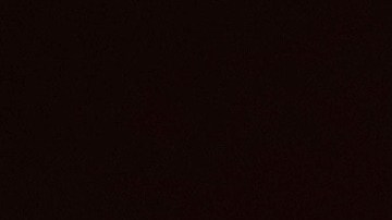 Quentin Tarantino se ha convertido en uno de los más reconocidos directores de cine, guionistas, productores y actores estadounidenses.