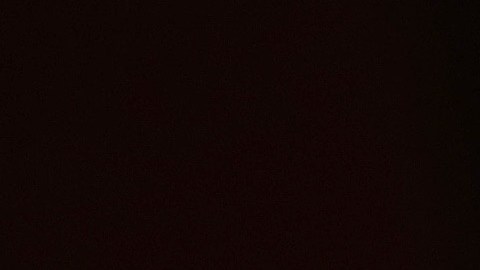 Quentin Tarantino se ha convertido en uno de los más reconocidos directores de cine, guionistas, productores y actores estadounidenses.