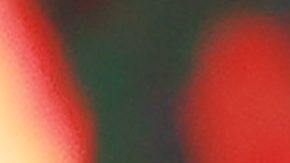 Leonardo Aguilar | Manuel Velasquez/Getty Images for Estrella Media.