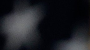 Donald Trump Liz Cheney Comité Especial